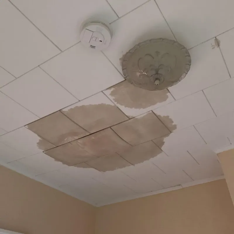 Ceiling Water Damage Repair in Pocahontas County, WV