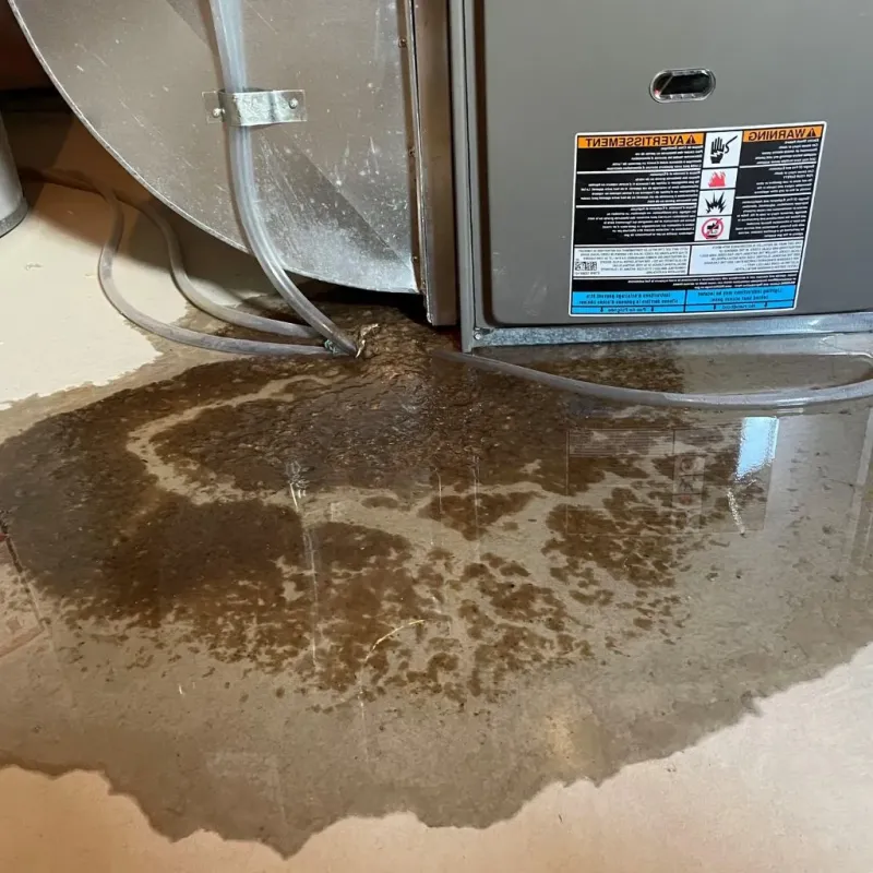 Pipe Burst and Leak Restoration in Pocahontas County, WV