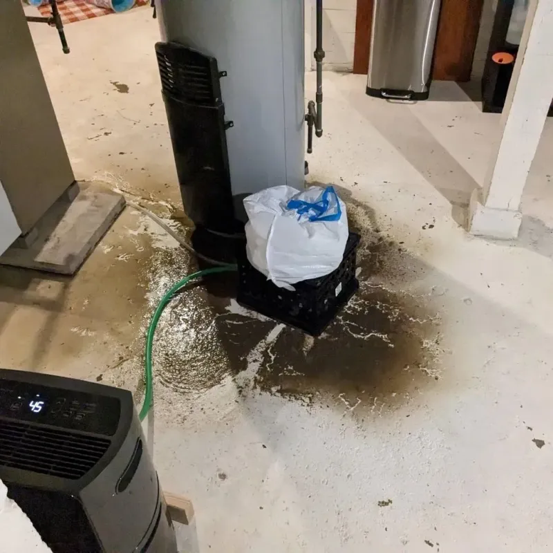 Sewage Backup Cleanup Service in Pocahontas County, WV